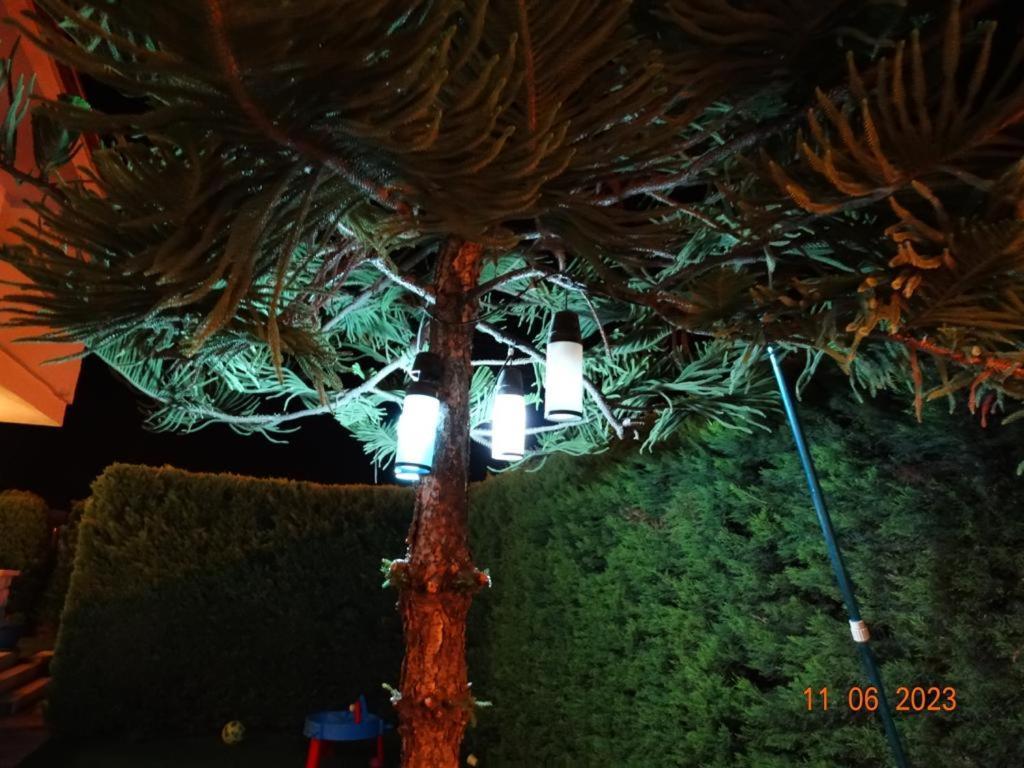 Hotel Surya Butik Alaçatı Zewnętrze zdjęcie